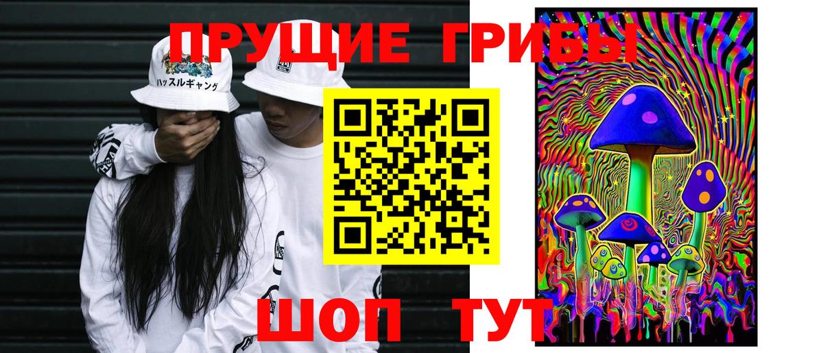 Псилоцибиновые грибы ЛСД Волхов